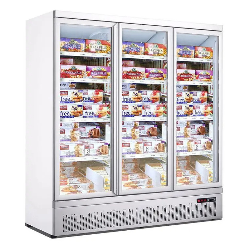 custom.Hot Sale Double-Door  F - Commercial Chest Freezer review and price